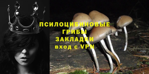 прущие грибы Лиски
