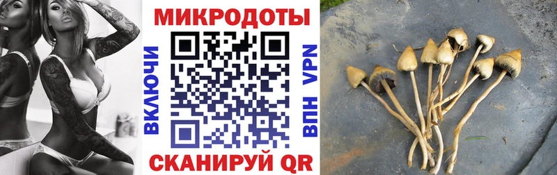 Псилоцибиновые грибы GOLDEN TEACHER  Сатка 